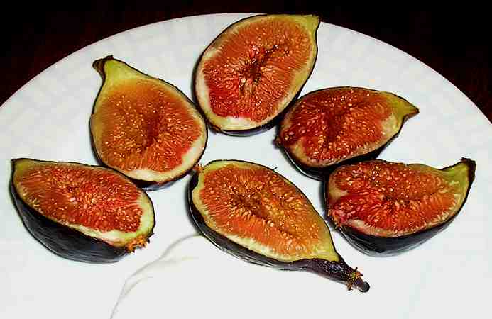 [figs.jpg]