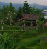 kandang kebo location