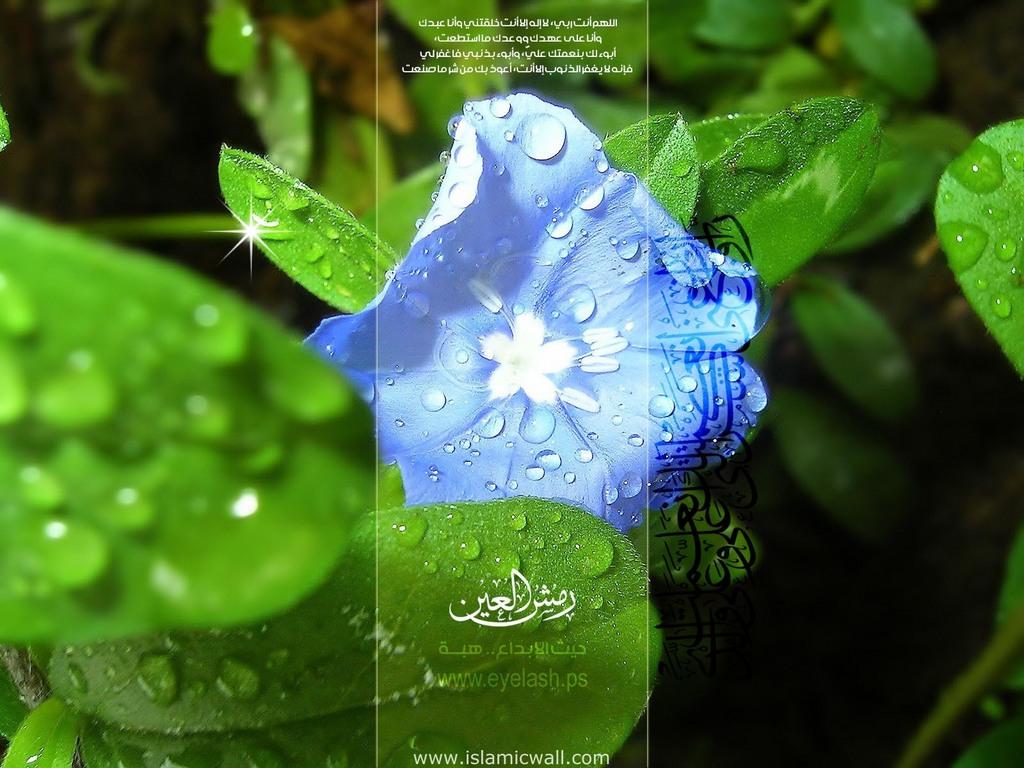 5 Andhap Asor Pracaya Lan Mituhu Kholid Mawardi