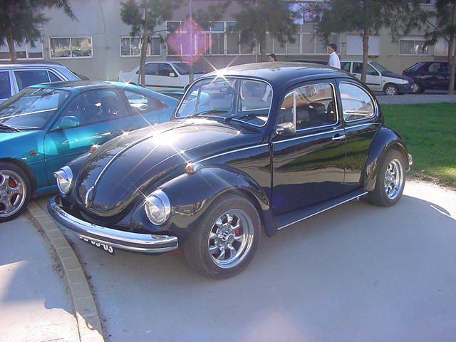 [DSC00066.JPG]