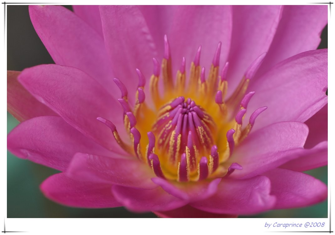 [nEO_IMG_DSC_1313.jpg]