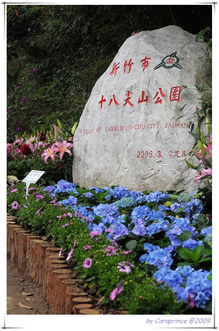 [nEO_IMG_DSC_5617.jpg]