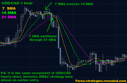 Qual a melhor estrategia forex