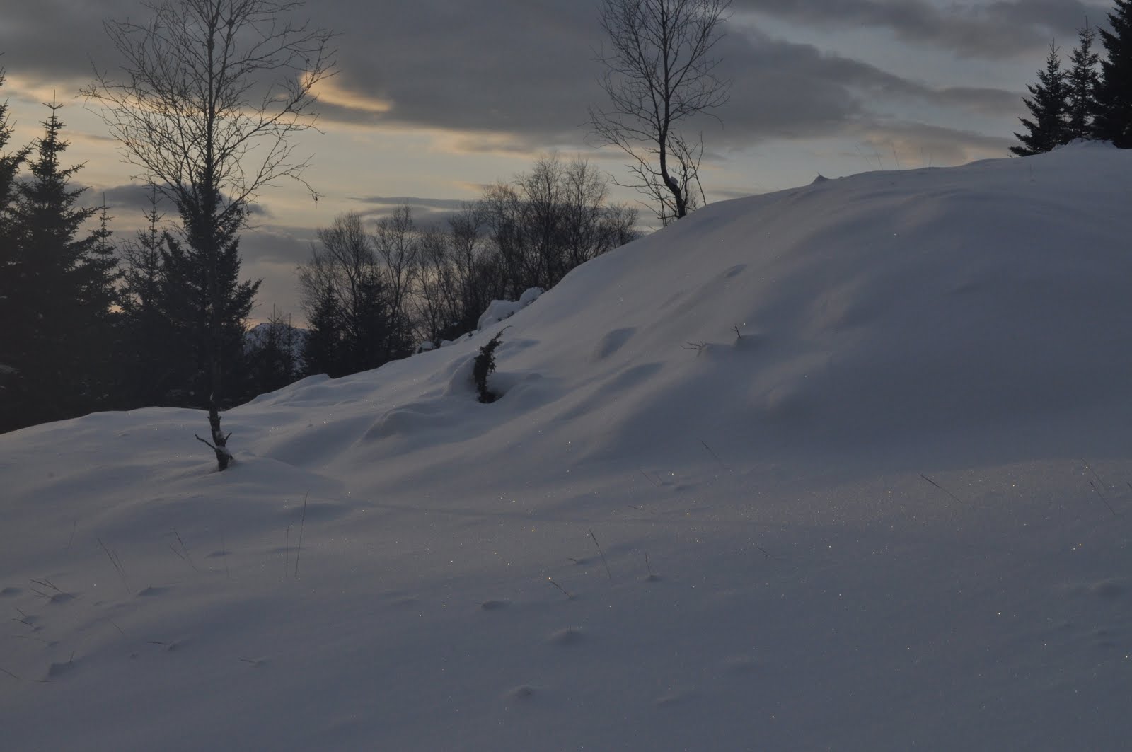 [DSC_0050.JPG]