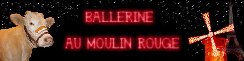 Ballerine au Moulin Rouge