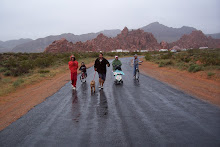 A walk in the rain