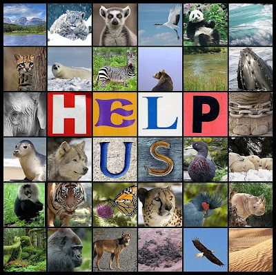 Extinct Wild Animals