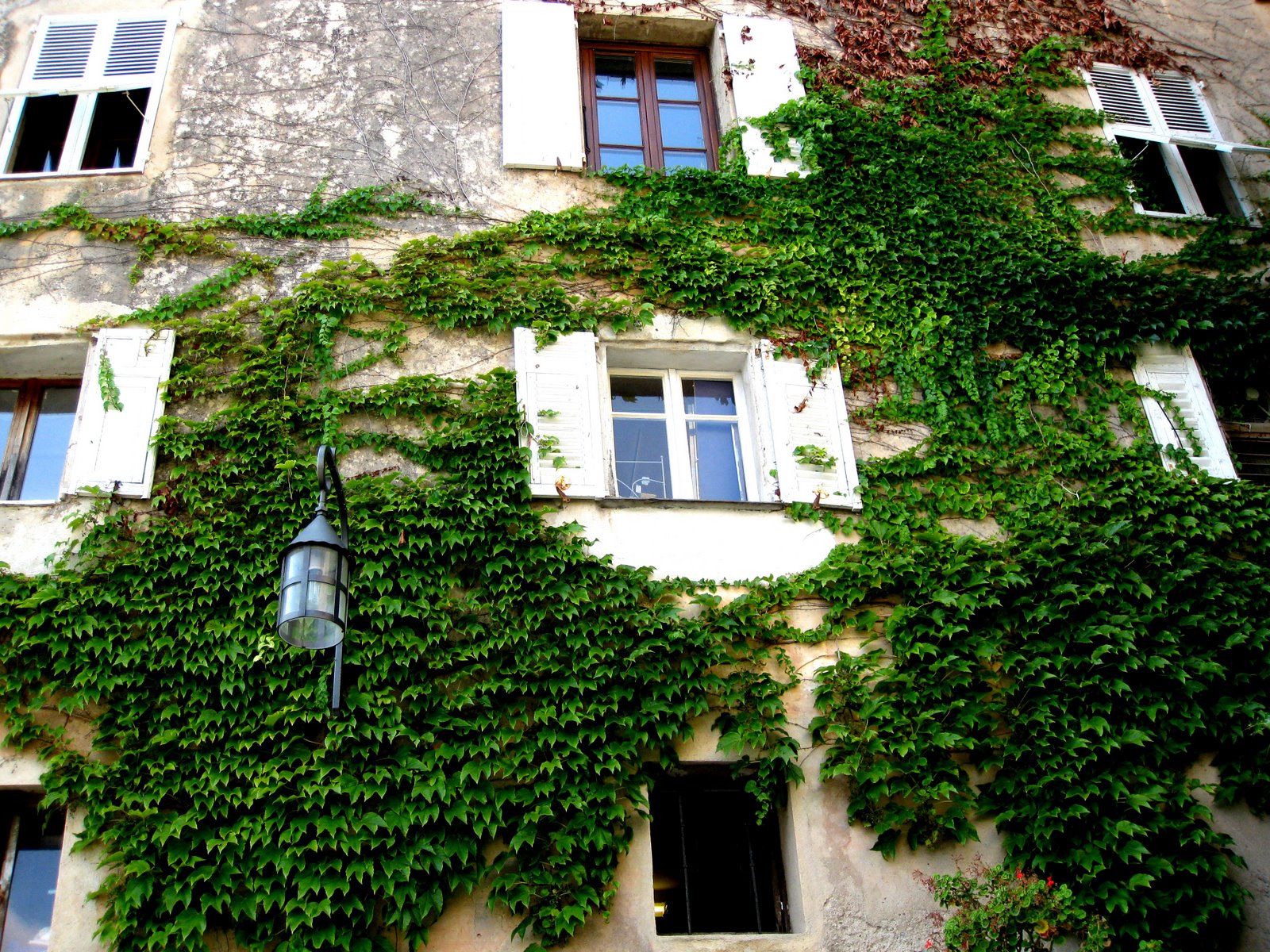 [CapFerrat2008-7.jpg]