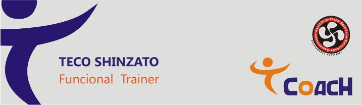 Prof. Teco Shinzato - Treinamento Funcional