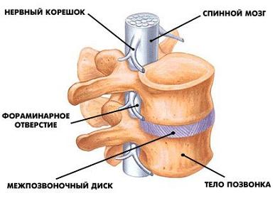 диета для того чтобы набрать вес