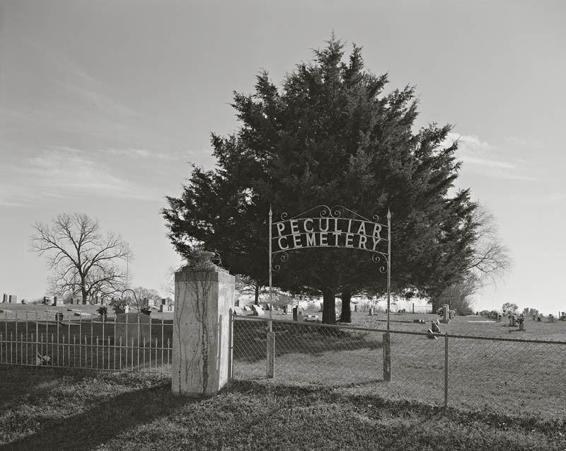 Pitchertakin' I WILL NOT GO QUIETLY.....