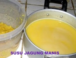 http://2.bp.blogspot.com/_22JrqoXNITQ/TUvRtHAOAVI/AAAAAAAAACw/61-izWXBn2g/s1600/susu+jagung.jpg