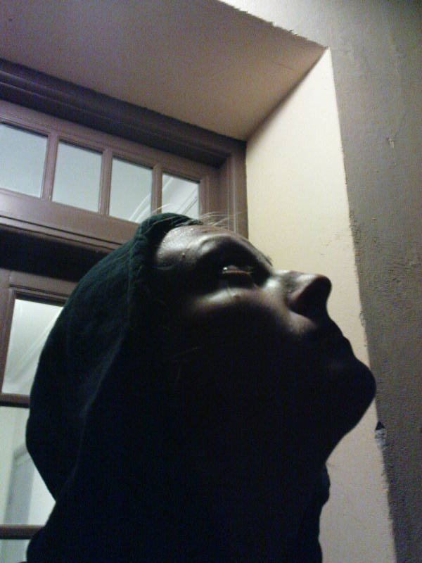 [image-upload-241-784353.jpg]