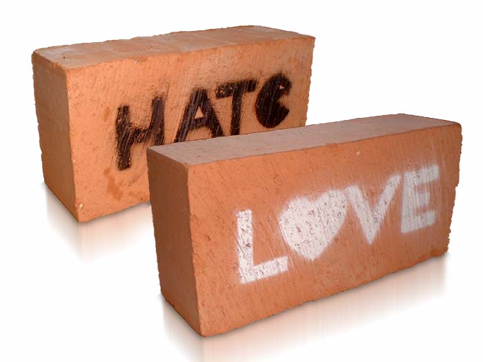 Hate You Love
