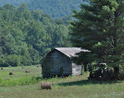 North Carolina Farms
