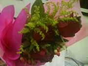 dear送我的花