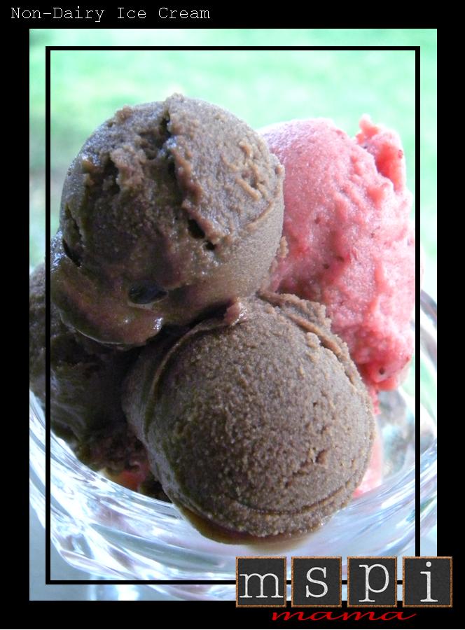 MSPI Mama NonDairy Ice Cream