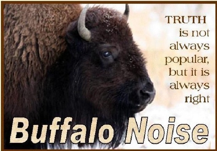 Buffalo Noise