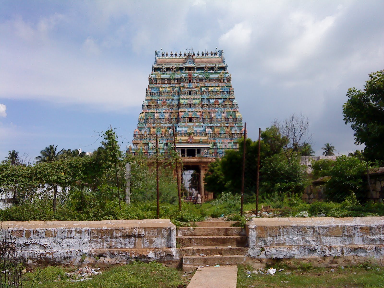 [DSC09436.JPG]