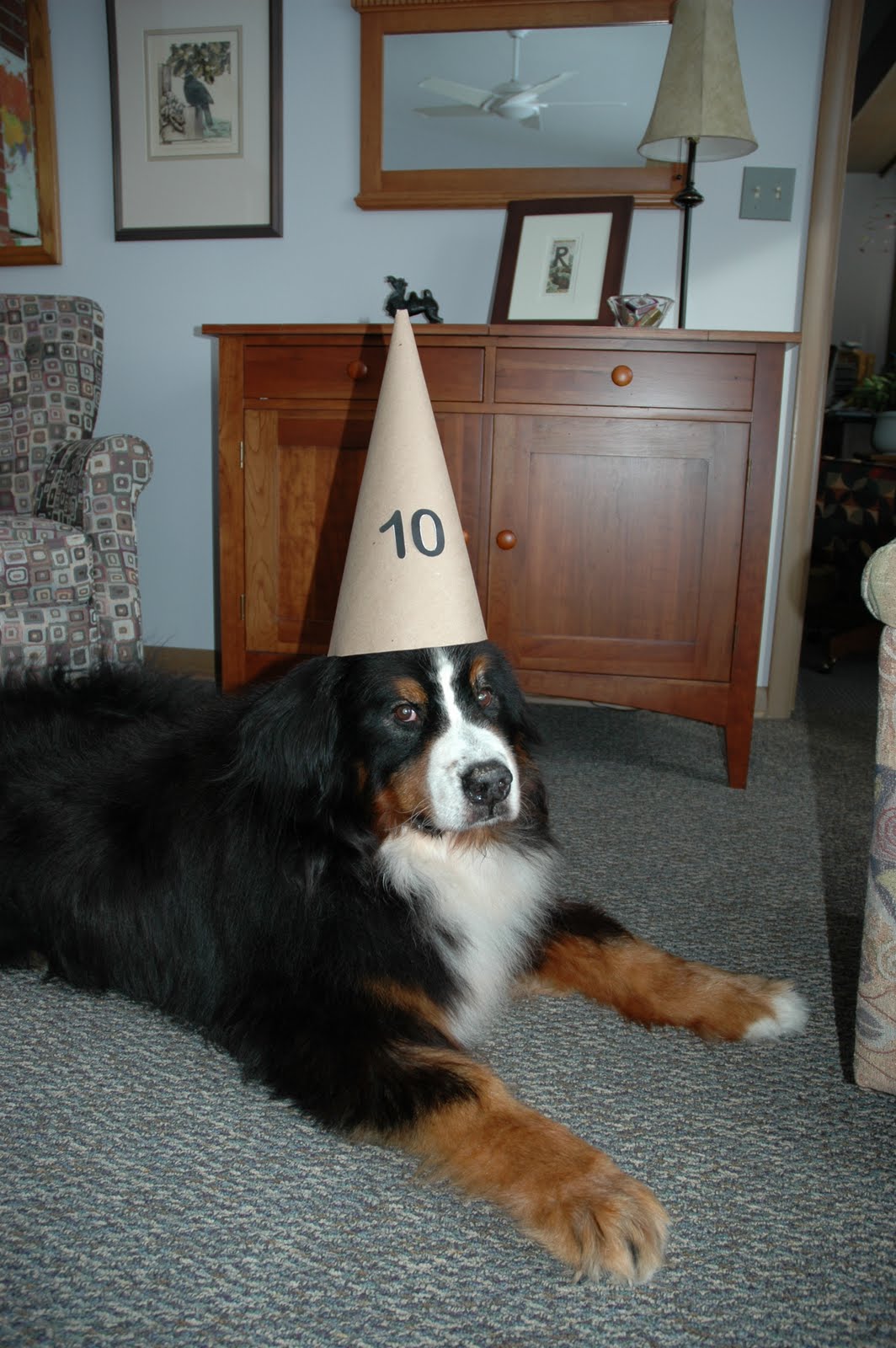 Grikdog's Blog Nice people have nice dogs