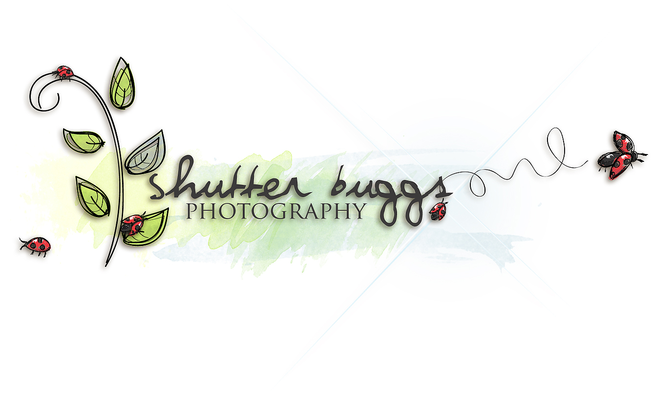 ShutterBuggs Photography