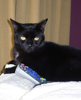 Black Cat TV Remote Black cat tv remote