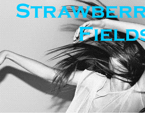 STRAWBERRIES FIELDS