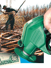 AGROCOMBUSTÍVEIS – SOLUÇÃO?