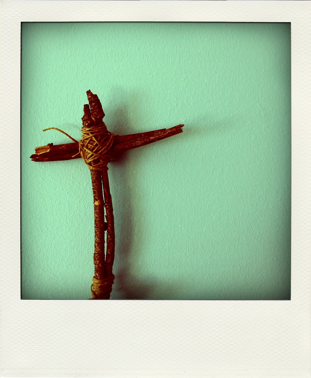 [IMG_8397-pola+(2).jpg]