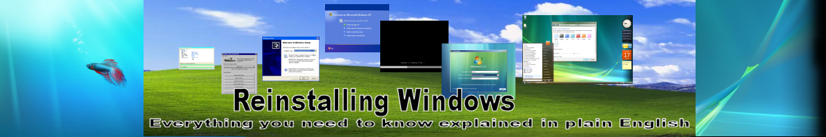 Reinstalling Windows