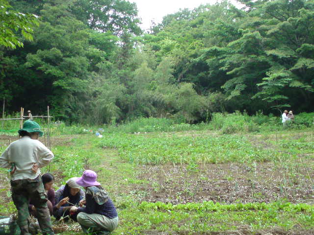 ありがとうございます。写真クリックで戻りますよ