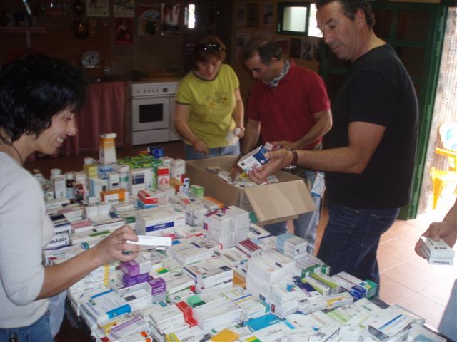 [P1010047+(Small).JPG]