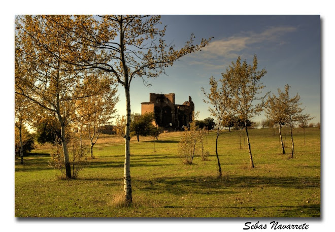 Ruinas Iglesia de San Pedro