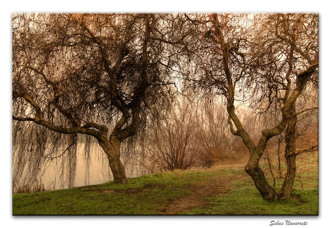 Ribera Laguna de la Recomba