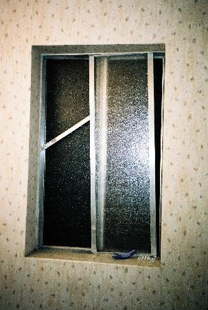 [the-window-would-not.jpg]