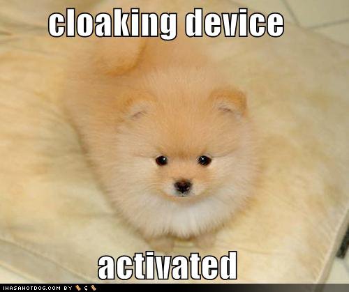 [cloaking.bmp]