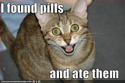 cat_pills.bmp