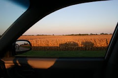 My shadow on Iowa cornfield
