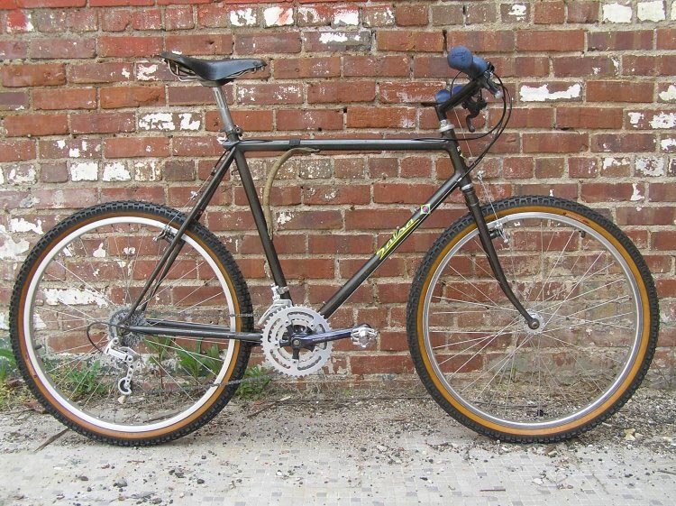 [salsa+scoboni+1982.jpg]