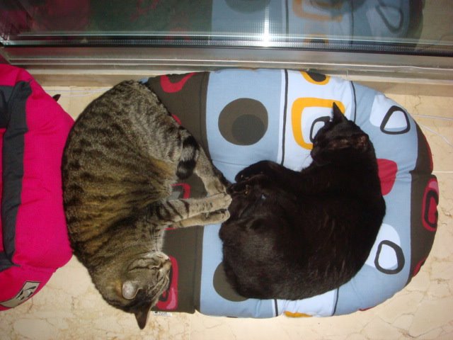 [DSC00749.jpg]