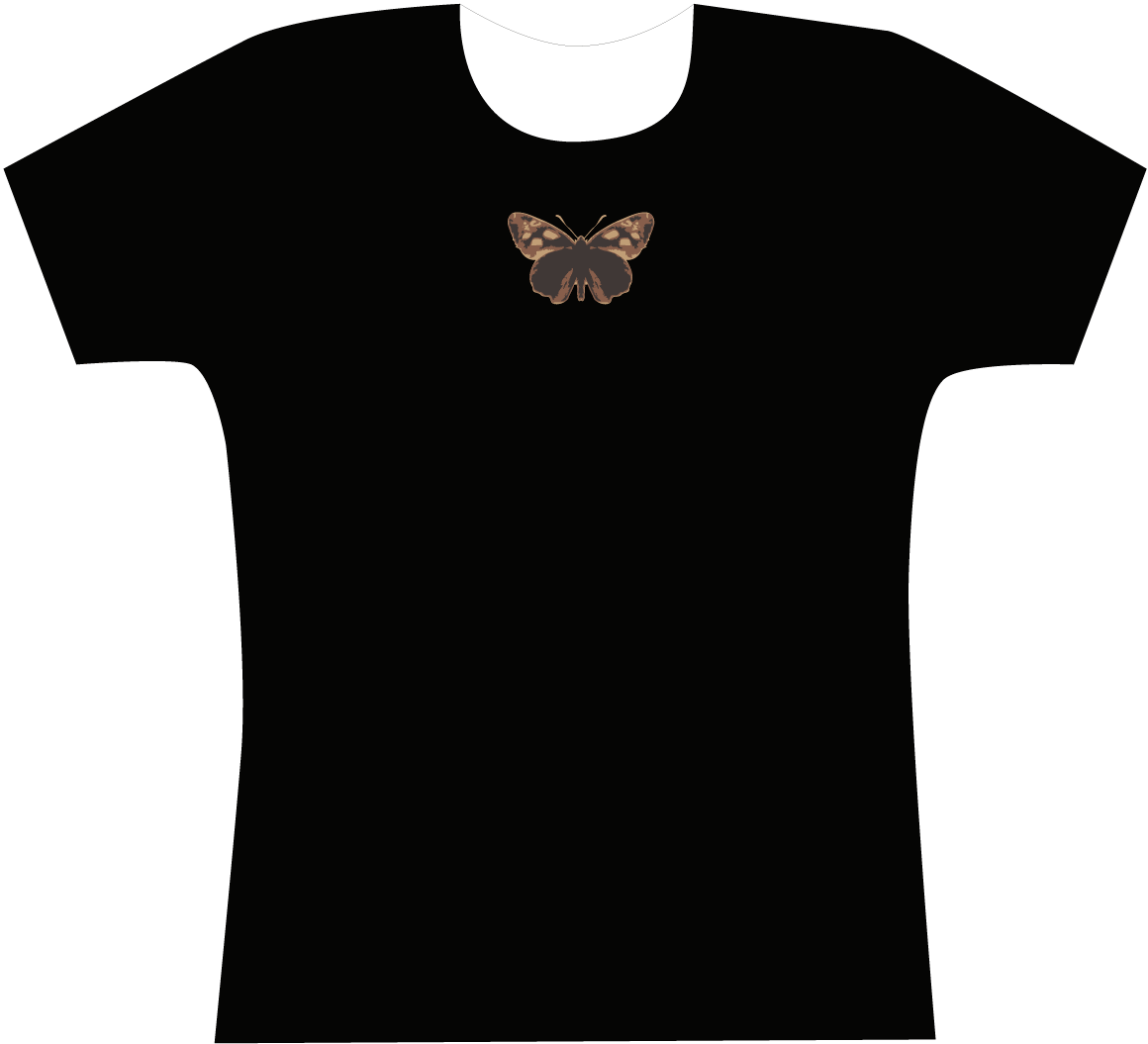 [Hesperiidae2.gif]