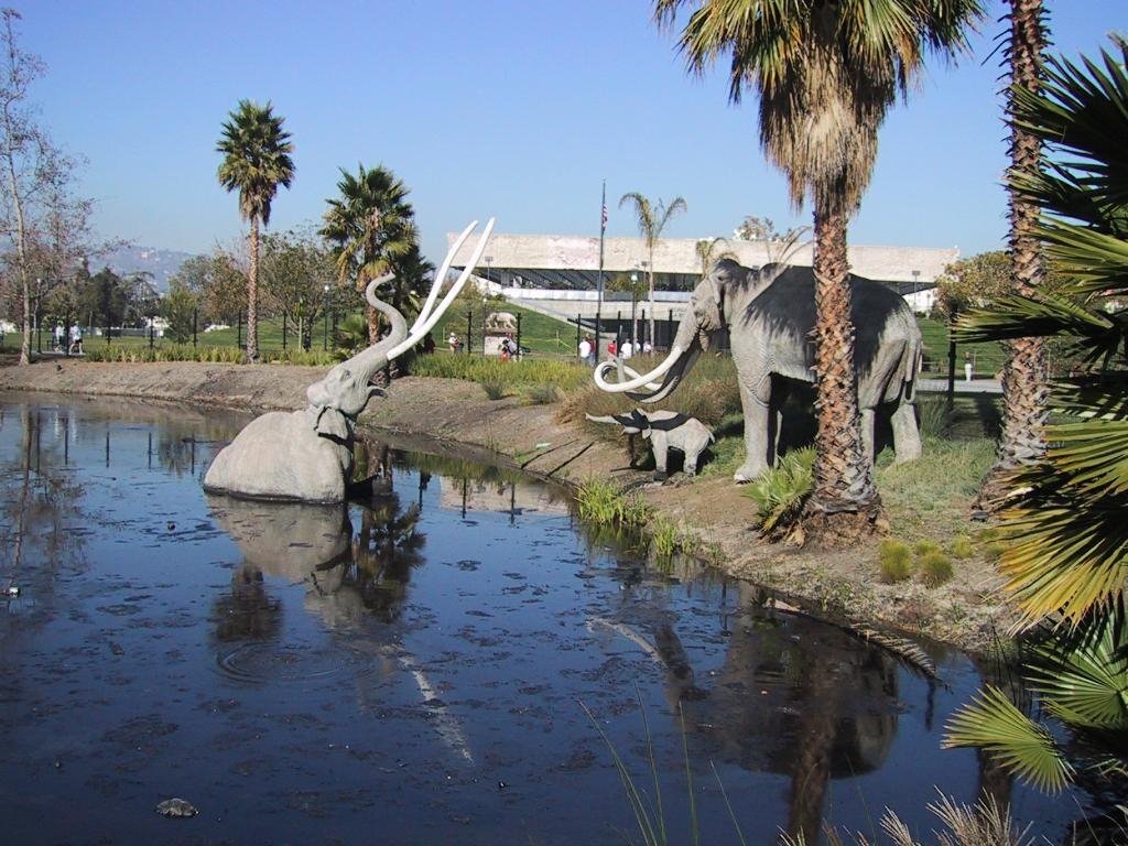 http://2.bp.blogspot.com/_2HfsXyCvBn4/TFTZ3zrAKdI/AAAAAAAAAT8/sd_Ar0HzU64/s1600/la_brea_tar_pits.jpg