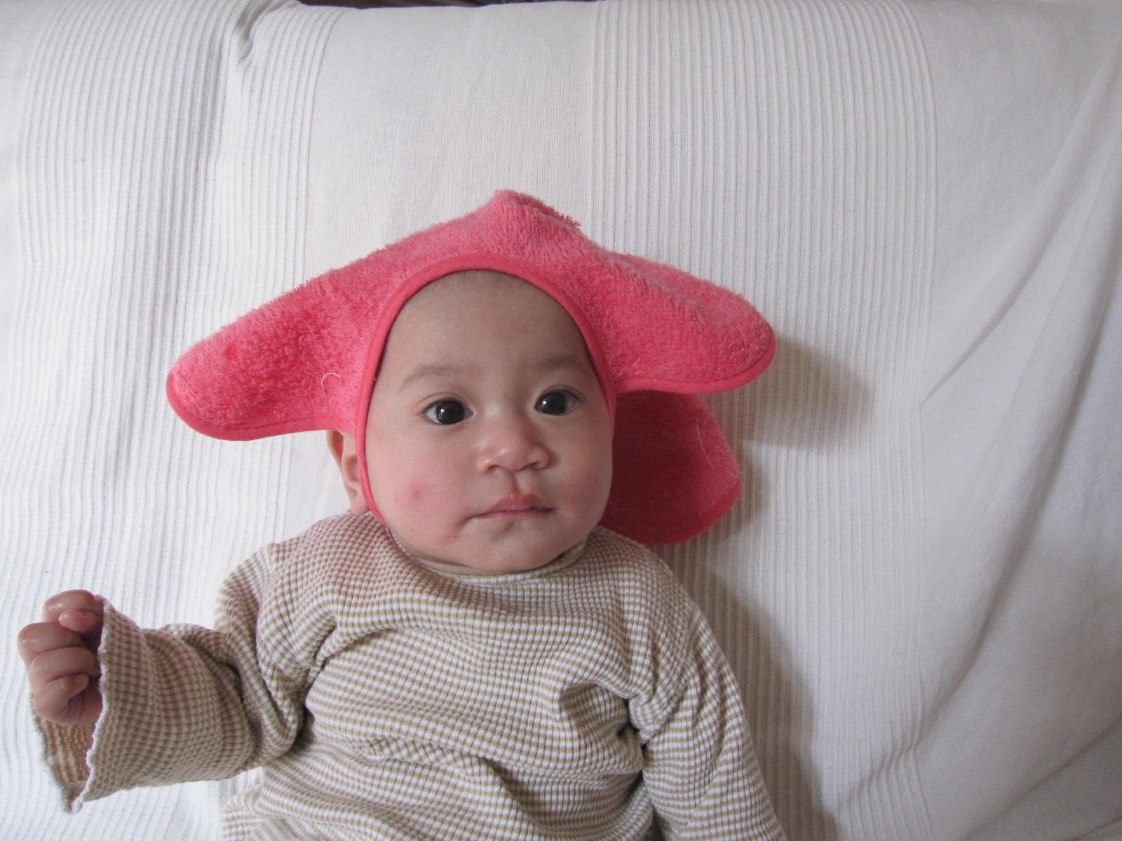 [IMG_1229.JPG]