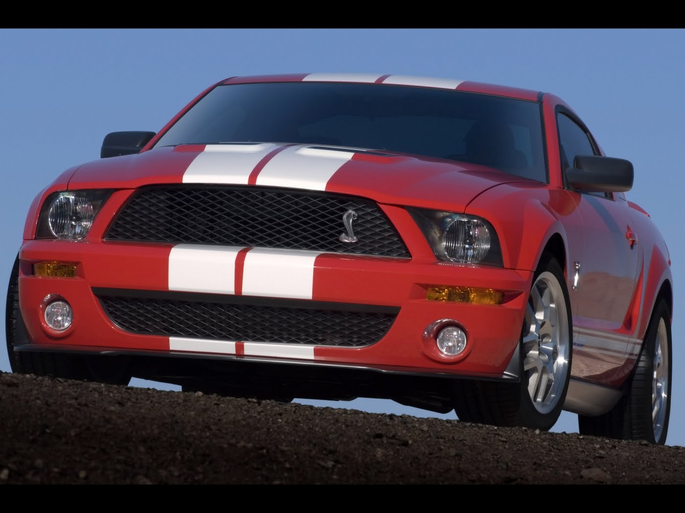 peartreedesigns: Ford Shelby GT 500