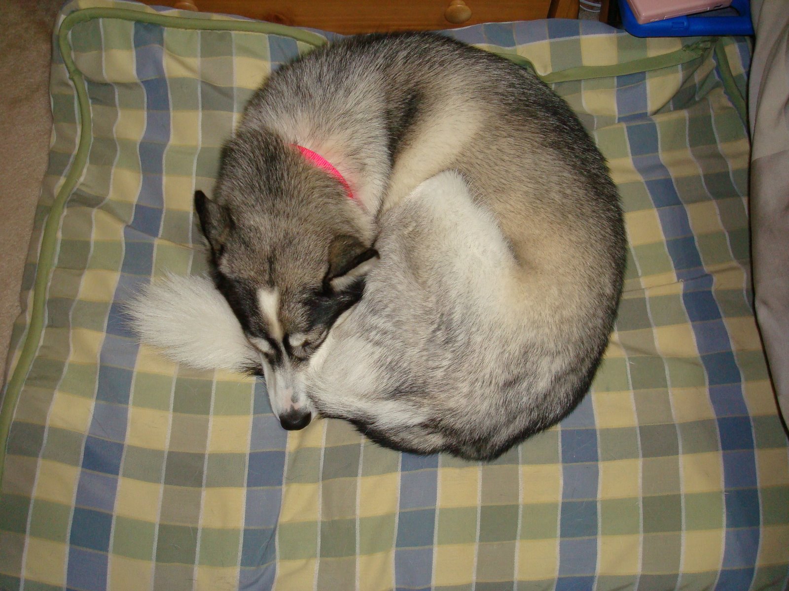 [DSC04479.JPG]