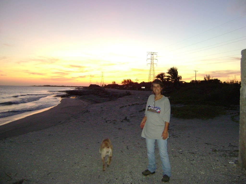 [DSC02855.JPG]