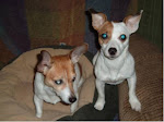 Twinkie and Maysie