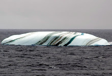 A MARAVILHA DOS ICEBERGS (3)