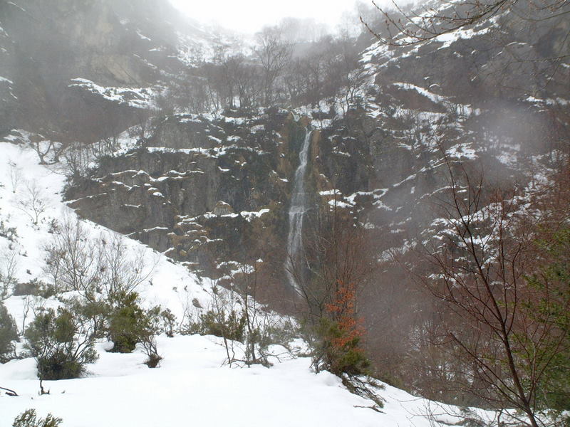 [DSCF0029.JPG]