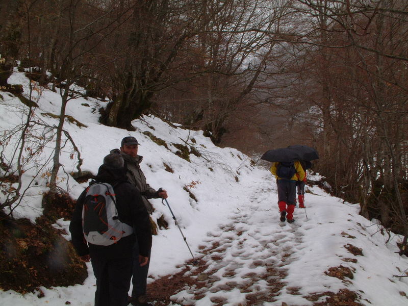 [DSCF0006.JPG]